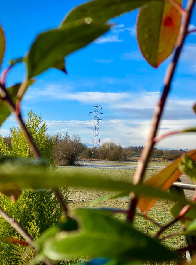 Bailey's Hideaway Lodge Portadown